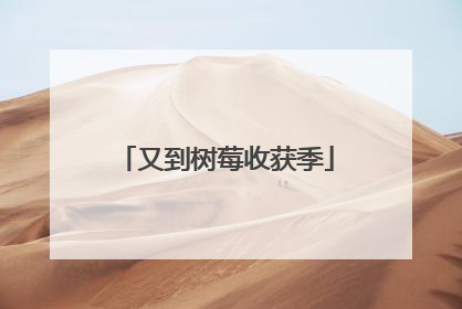 又到树莓收获季