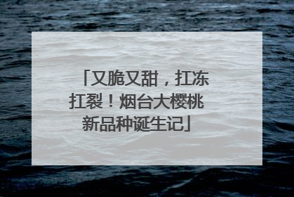 又脆又甜，扛冻扛裂！烟台大樱桃新品种诞生记
