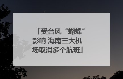 受台风“蝴蝶”影响 海南三大机场取消多个航班