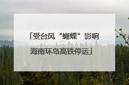 受台风“蝴蝶”影响 海南环岛高铁停运