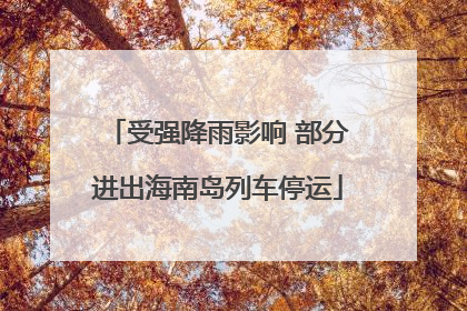 受强降雨影响 部分进出海南岛列车停运