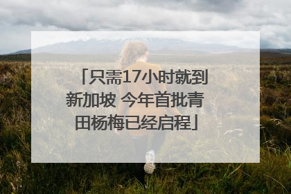 只需17小时就到新加坡 今年首批青田杨梅已经启程