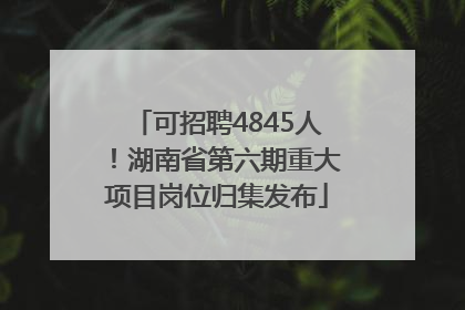 可招聘4845人！湖南省第六期重大项目岗位归集发布