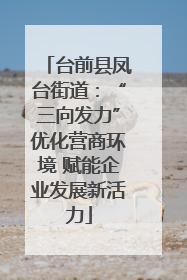 台前县凤台街道：“三向发力”优化营商环境 赋能企业发展新活力