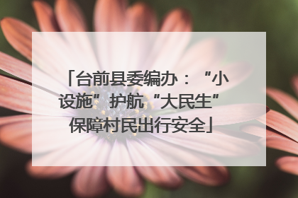 台前县委编办：“小设施”护航“大民生” 保障村民出行安全
