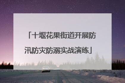 十堰花果街道开展防汛防灾防溺实战演练