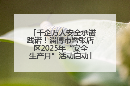 千企万人安全承诺践诺！淄博市暨张店区2025年“安全生产月”活动启动
