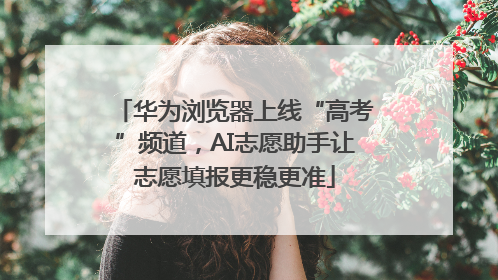华为浏览器上线“高考”频道，AI志愿助手让志愿填报更稳更准