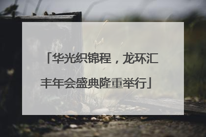 华光织锦程，龙环汇丰年会盛典隆重举行