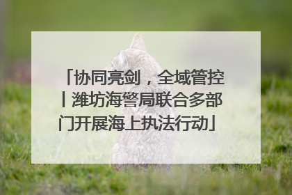 协同亮剑，全域管控丨潍坊海警局联合多部门开展海上执法行动