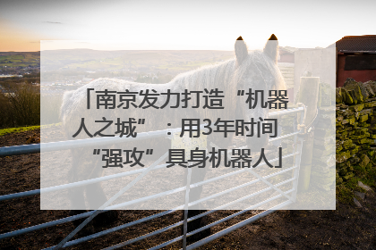 南京发力打造“机器人之城”：用3年时间“强攻”具身机器人