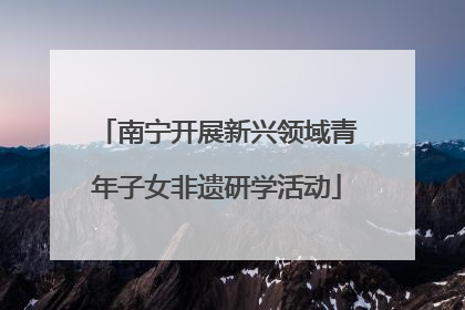 南宁开展新兴领域青年子女非遗研学活动