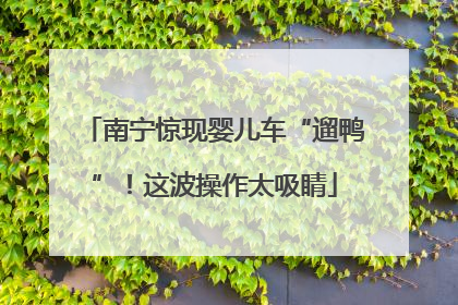 南宁惊现婴儿车“遛鸭”！这波操作太吸睛