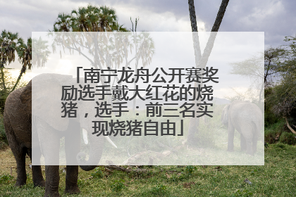 南宁龙舟公开赛奖励选手戴大红花的烧猪，选手：前三名实现烧猪自由