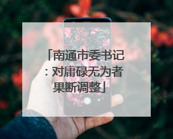 南通市委书记：对庸碌无为者果断调整