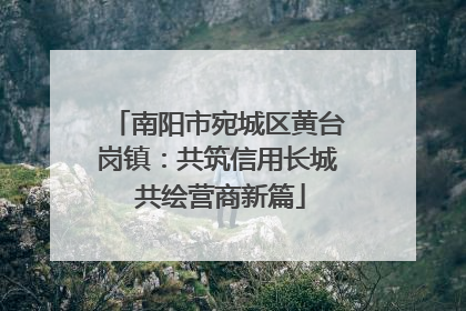 南阳市宛城区黄台岗镇：共筑信用长城 共绘营商新篇