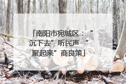 南阳市宛城区：“沉下去”听民声 “聚起来”商良策