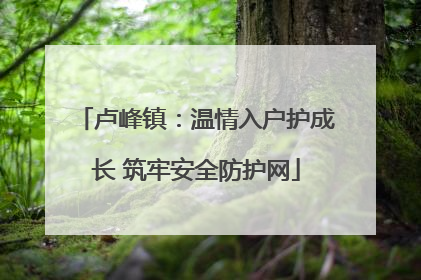 卢峰镇：温情入户护成长 筑牢安全防护网