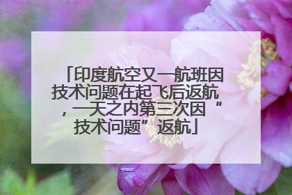 印度航空又一航班因技术问题在起飞后返航，一天之内第三次因“技术问题”返航
