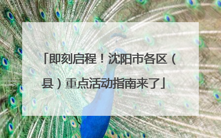 即刻启程！沈阳市各区（县）重点活动指南来了