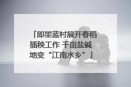 即墨蓝村展开春稻插秧工作 千亩盐碱地变“江南水乡”
