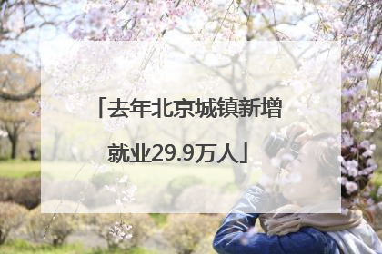 去年北京城镇新增就业29.9万人