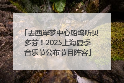 去西岸梦中心船坞听贝多芬！2025上海夏季音乐节公布节目阵容