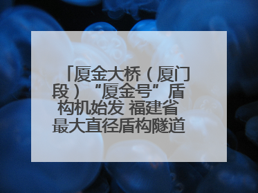 厦金大桥（厦门段）“厦金号”盾构机始发 福建省最大直径盾构隧道正式掘进