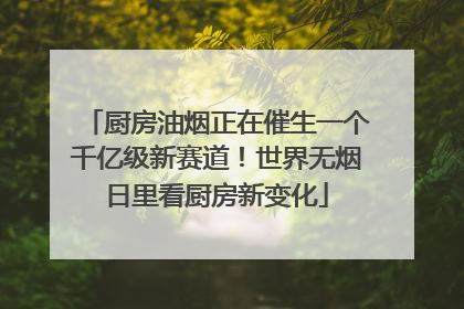 厨房油烟正在催生一个千亿级新赛道！世界无烟日里看厨房新变化