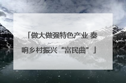 做大做强特色产业 奏响乡村振兴“富民曲”