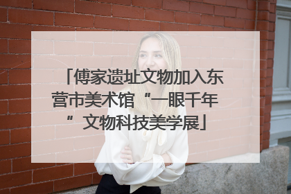 傅家遗址文物加入东营市美术馆“一眼千年”文物科技美学展