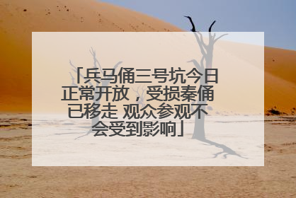兵马俑三号坑今日正常开放，受损秦俑已移走 观众参观不会受到影响