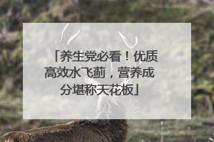 养生党必看！优质高效水飞蓟，营养成分堪称天花板