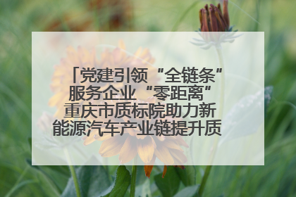 党建引领“全链条” 服务企业“零距离” 重庆市质标院助力新能源汽车产业链提升质量管理水平