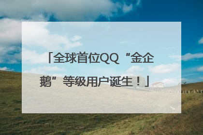全球首位QQ“金企鹅”等级用户诞生！