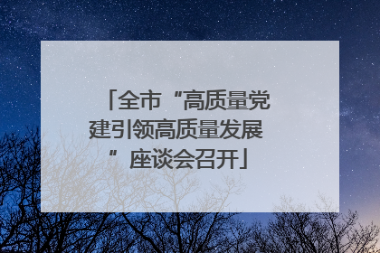 全市“高质量党建引领高质量发展”座谈会召开
