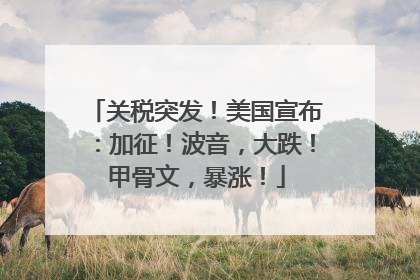 关税突发！美国宣布：加征！波音，大跌！甲骨文，暴涨！