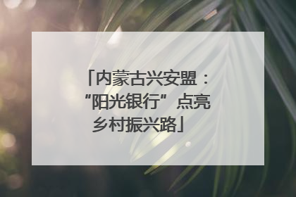 内蒙古兴安盟：“阳光银行”点亮乡村振兴路