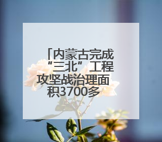 内蒙古完成“三北”工程攻坚战治理面积3700多万亩