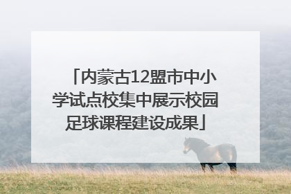 内蒙古12盟市中小学试点校集中展示校园足球课程建设成果