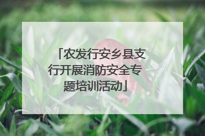 农发行安乡县支行开展消防安全专题培训活动