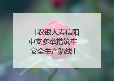 农银人寿信阳中支多举措筑牢安全生产防线