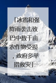 冰雹和强降雨袭击致巴中数千亩农作物受损，政府多举措救灾