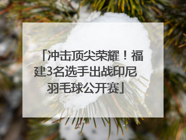 冲击顶尖荣耀！福建3名选手出战印尼羽毛球公开赛