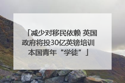 减少对移民依赖 英国政府将投30亿英镑培训本国青年“学徒”