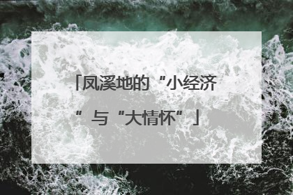 凤溪地的“小经济”与“大情怀”