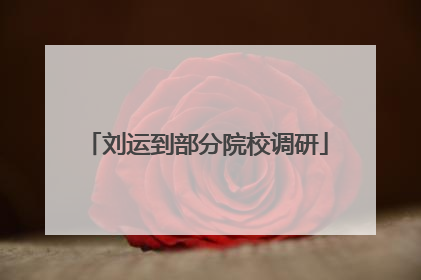 刘运到部分院校调研