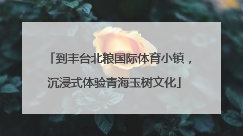 到丰台北粮国际体育小镇，沉浸式体验青海玉树文化