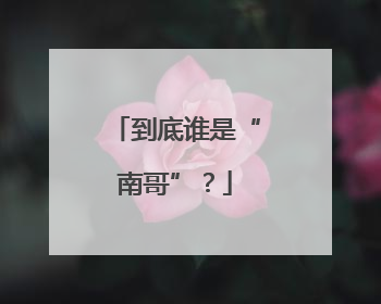 到底谁是“南哥”？