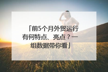 前5个月外贸运行有何特点、亮点？一组数据带你看